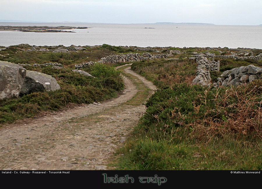 tonacrickheadway4