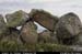 rossaveelhillstonewalls07