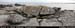 tonacrickheadpano
