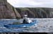 dinglebay_11
