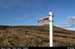 saucecreek_01