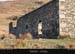 achillhead_02