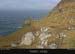 achillhead_33