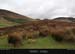 windygap_01