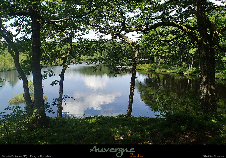 20150611_reco104