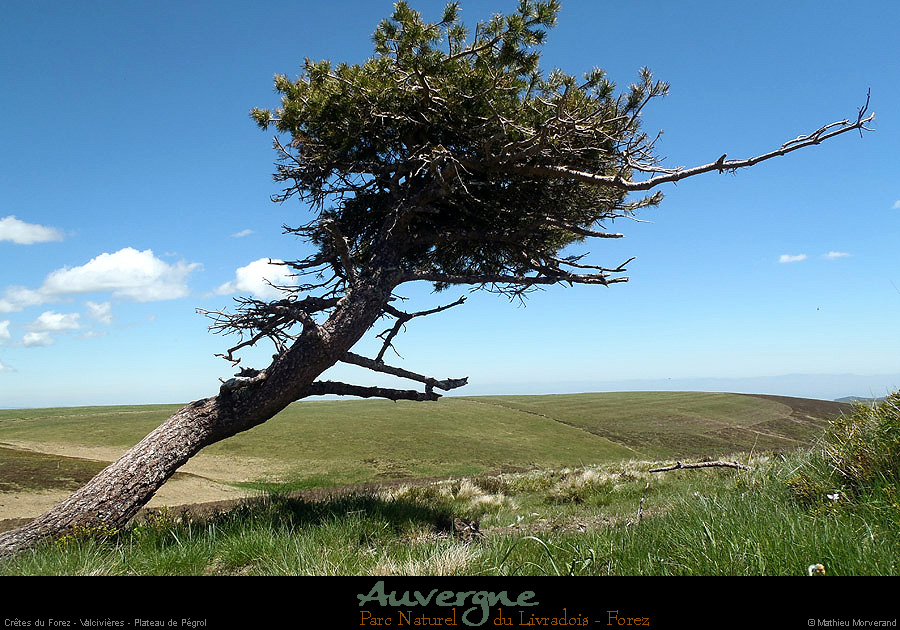 20130613_creteforez_valcivieres_plateaupegrol1