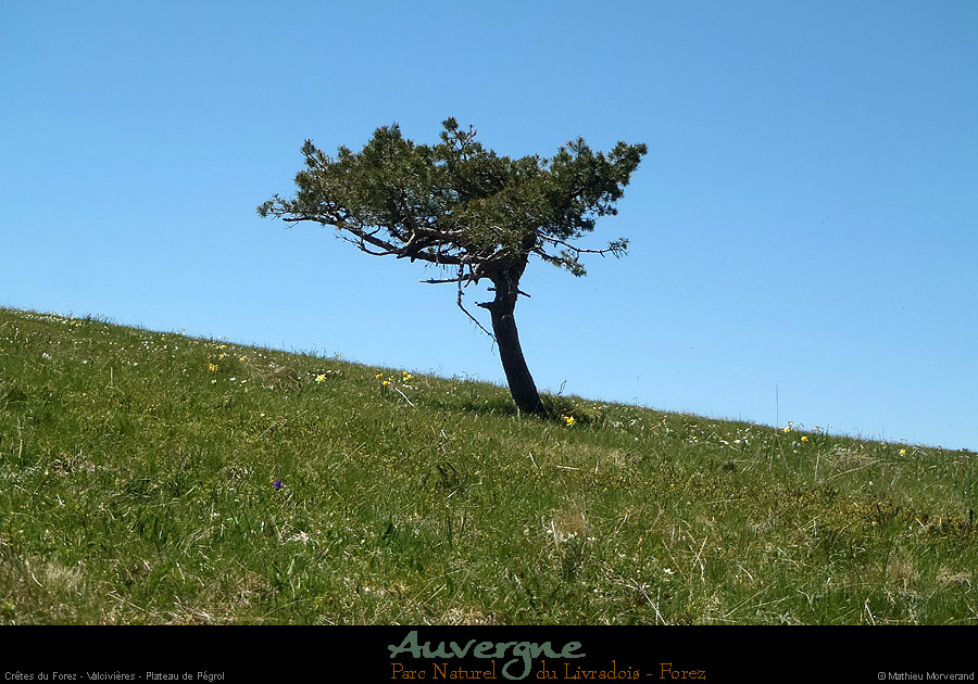 20130613_creteforez_valcivieres_plateaupegrol4