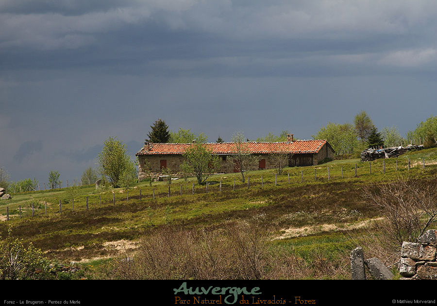 20130613_forez_lebrugeron_pentesdumerle2