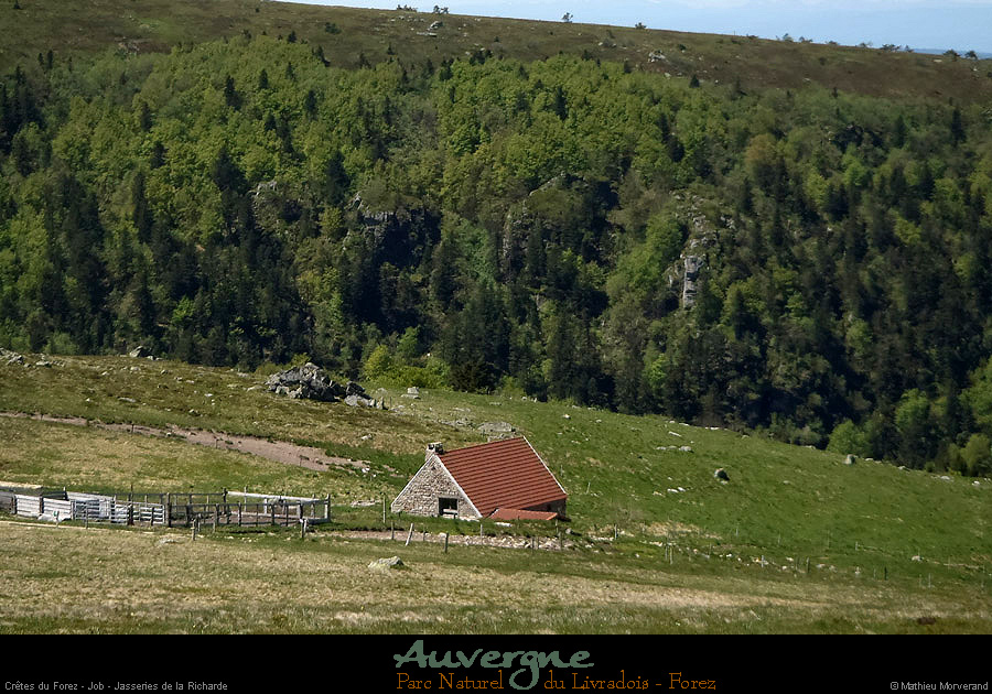 20130613_pierresurhaute_job_jasseriesdelaricharde2
