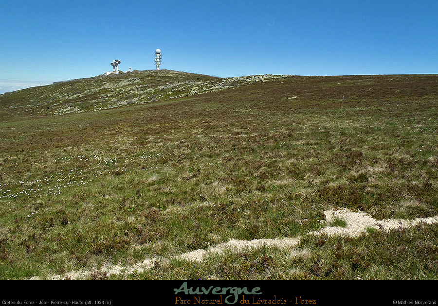 20130613_pierresurhaute_job_parlesud1