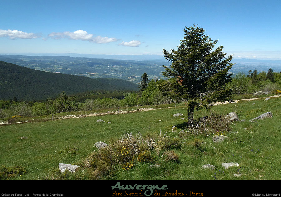 20130613_pierresurhaute_job_pentessslachamboite3
