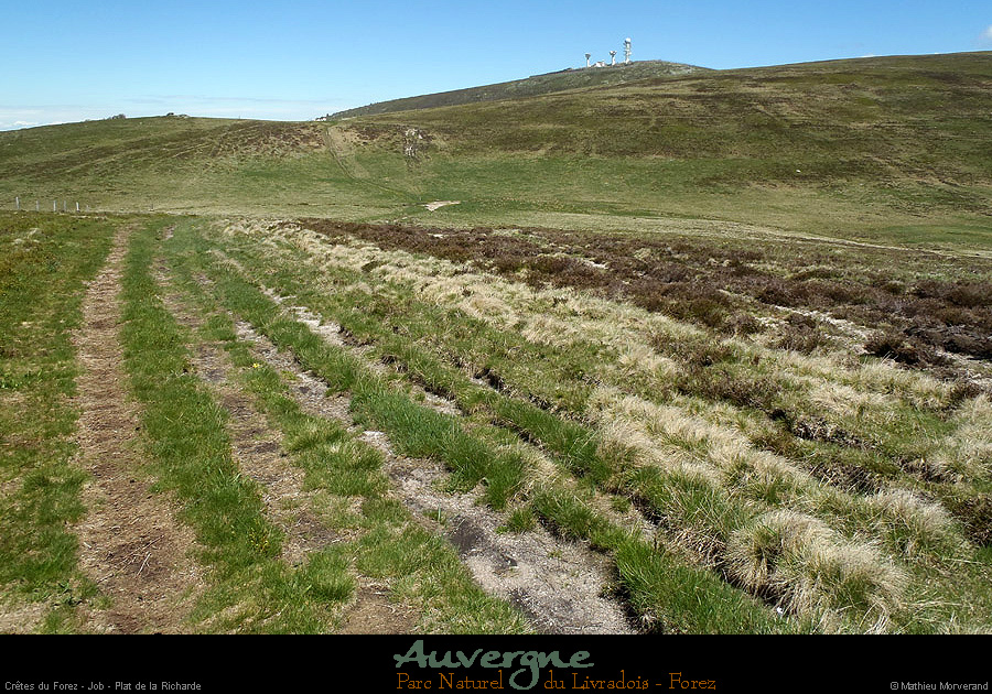 20130613_pierresurhaute_job_platdelaricharde6