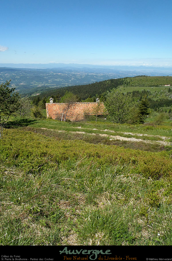 20130613_pierresurhaute_stpierrelaboulhonne_penteslescoches4