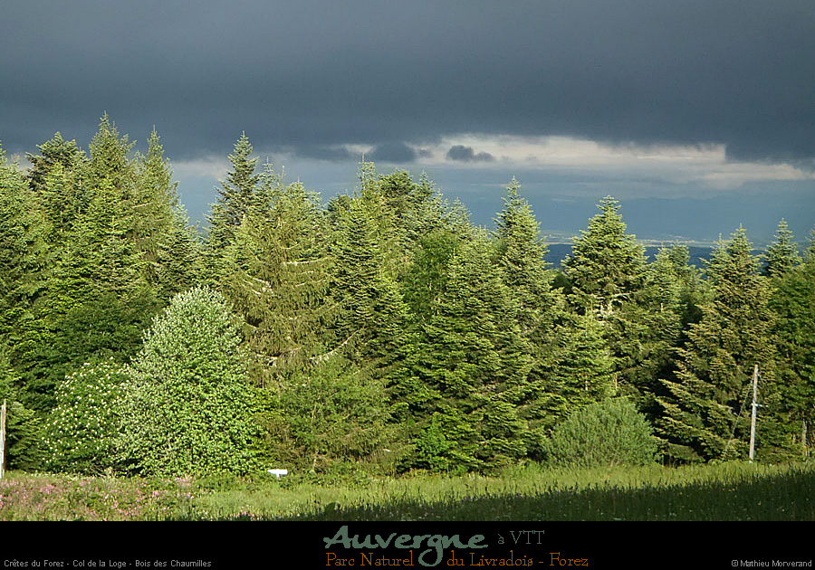 20130621_forez_coldelaloge_boisdeschaumilles