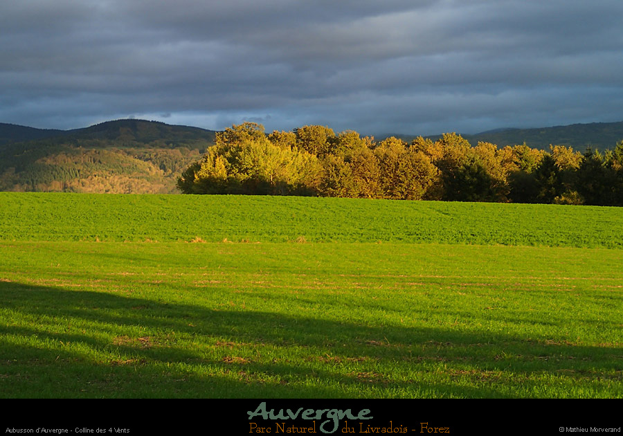 20131106_aubusson_4vents3