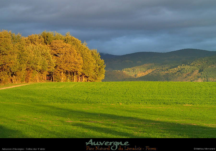20131106_aubusson_4vents5