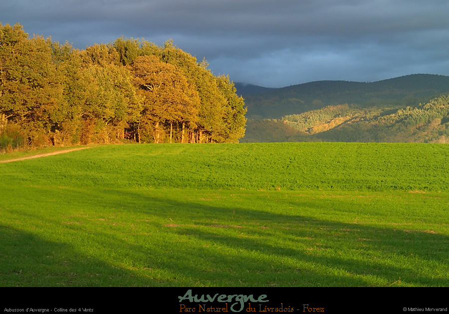20131106_aubusson_4vents6