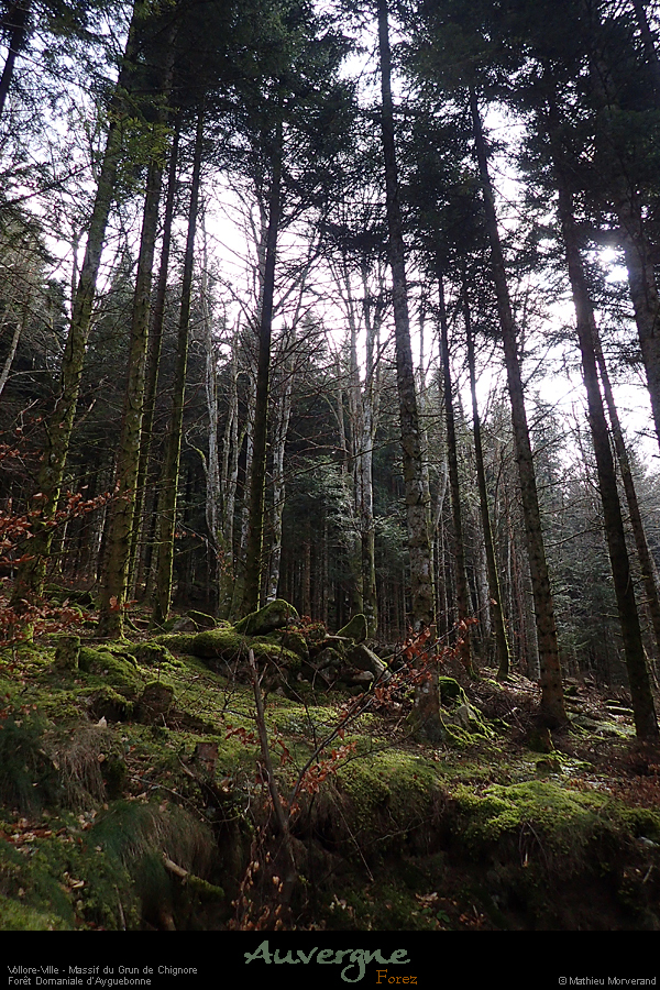 20180322_04