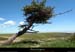20130613_creteforez_valcivieres_plateaupegrol1