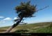 20130613_creteforez_valcivieres_plateaupegrol2