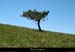 20130613_creteforez_valcivieres_plateaupegrol4