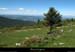 20130613_pierresurhaute_job_pentessslachamboite3