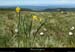 20130613_pierresurhaute_job_platdelaricharde1