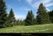 20130620_forez_grandrif_boisdelalichere
