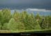 20130621_forez_coldelaloge_boisdeschaumilles