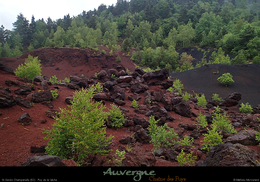 20150616_puydelavache1