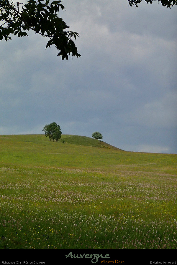20150609_reco053