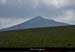 20150617_115