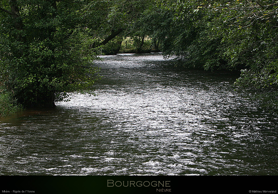 20050807_rigoleyonne_42