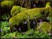 20040501_chalaux_06