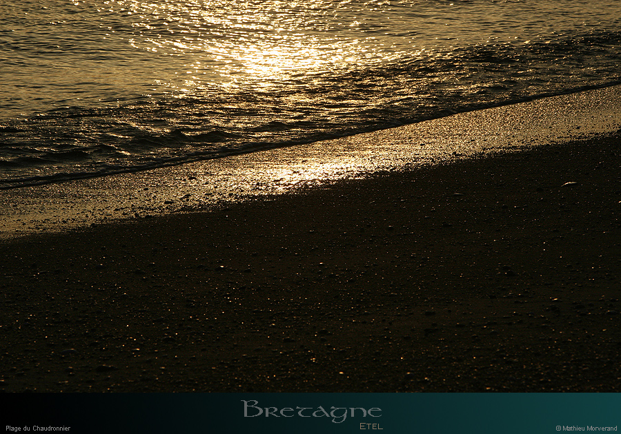 20070826_plagepteetel1