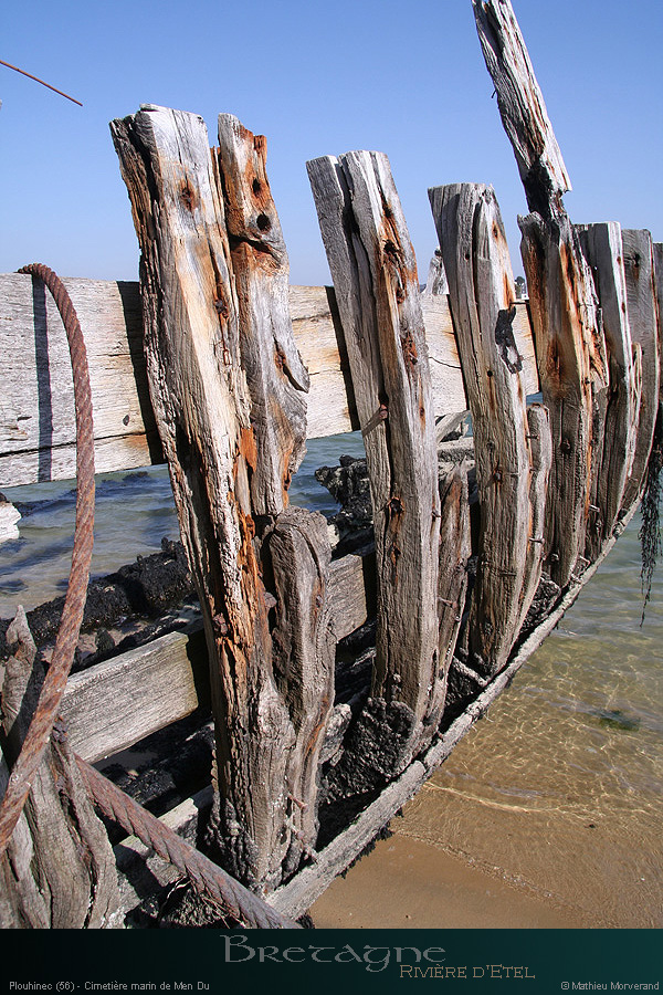 20100309_etel_24