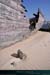 20100309_etel_28