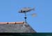 20190820hr_009