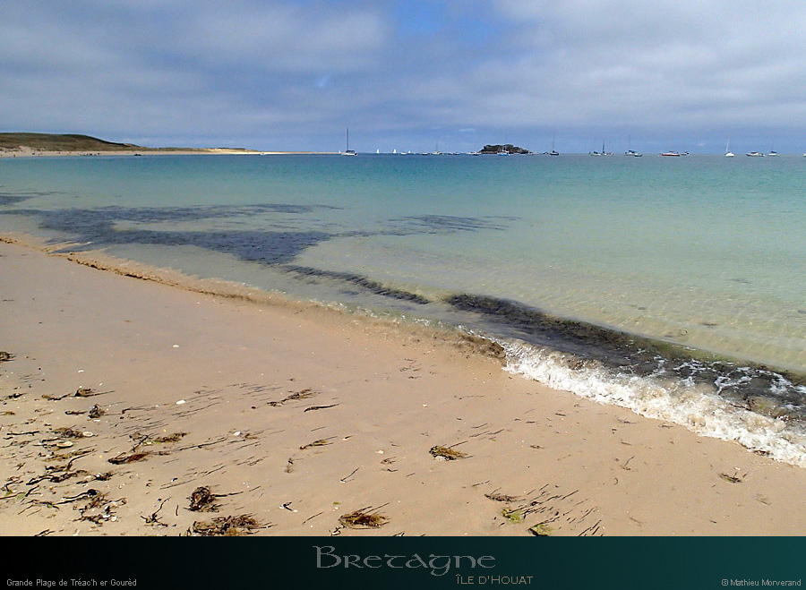 20150715_houat_plagetreachergourhed04