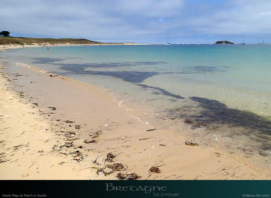 20150715_houat_plagetreachergourhed05