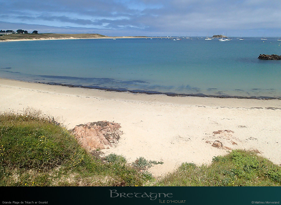 20150715_houat_plagetreachergourhed07