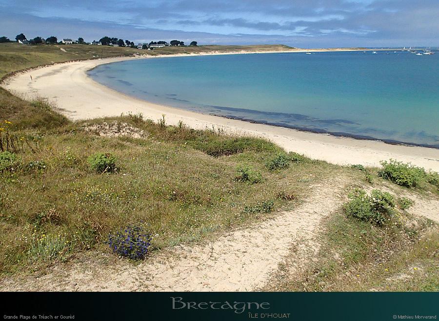 20150715_houat_plagetreachergourhed08