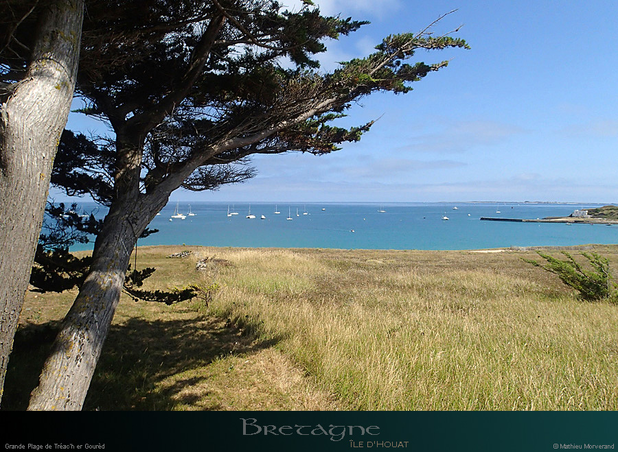 20150715_houat_plagetreachergourhed13