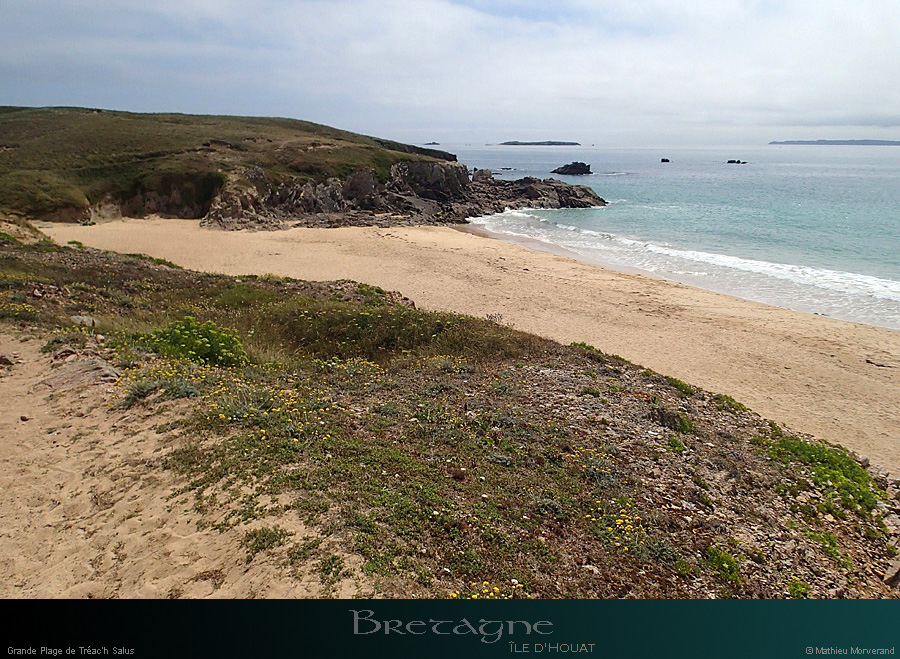 20150715_houat_plagetreachsalus2