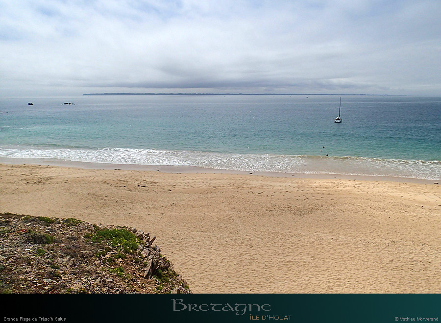 20150715_houat_plagetreachsalus3