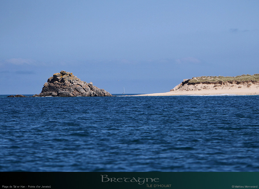 20150715_houat_pteerjeneteu9