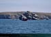 20150715_houat_pecheurrocherlavieille