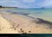 20150715_houat_plagetreachergourhed05