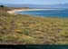 20150715_houat_plagetreachergourhed09