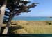 20150715_houat_plagetreachergourhed13